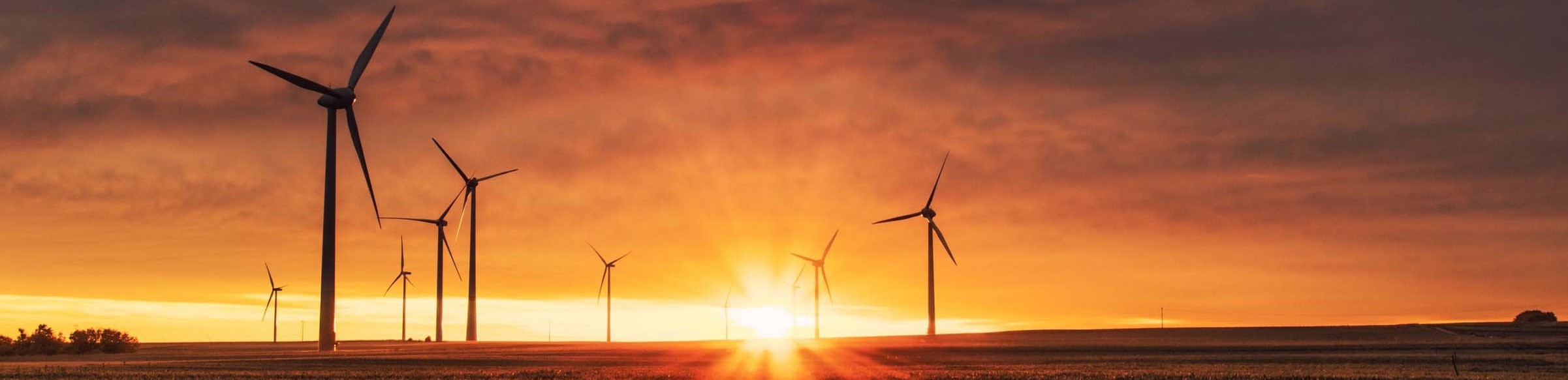 Windmills in wheat field