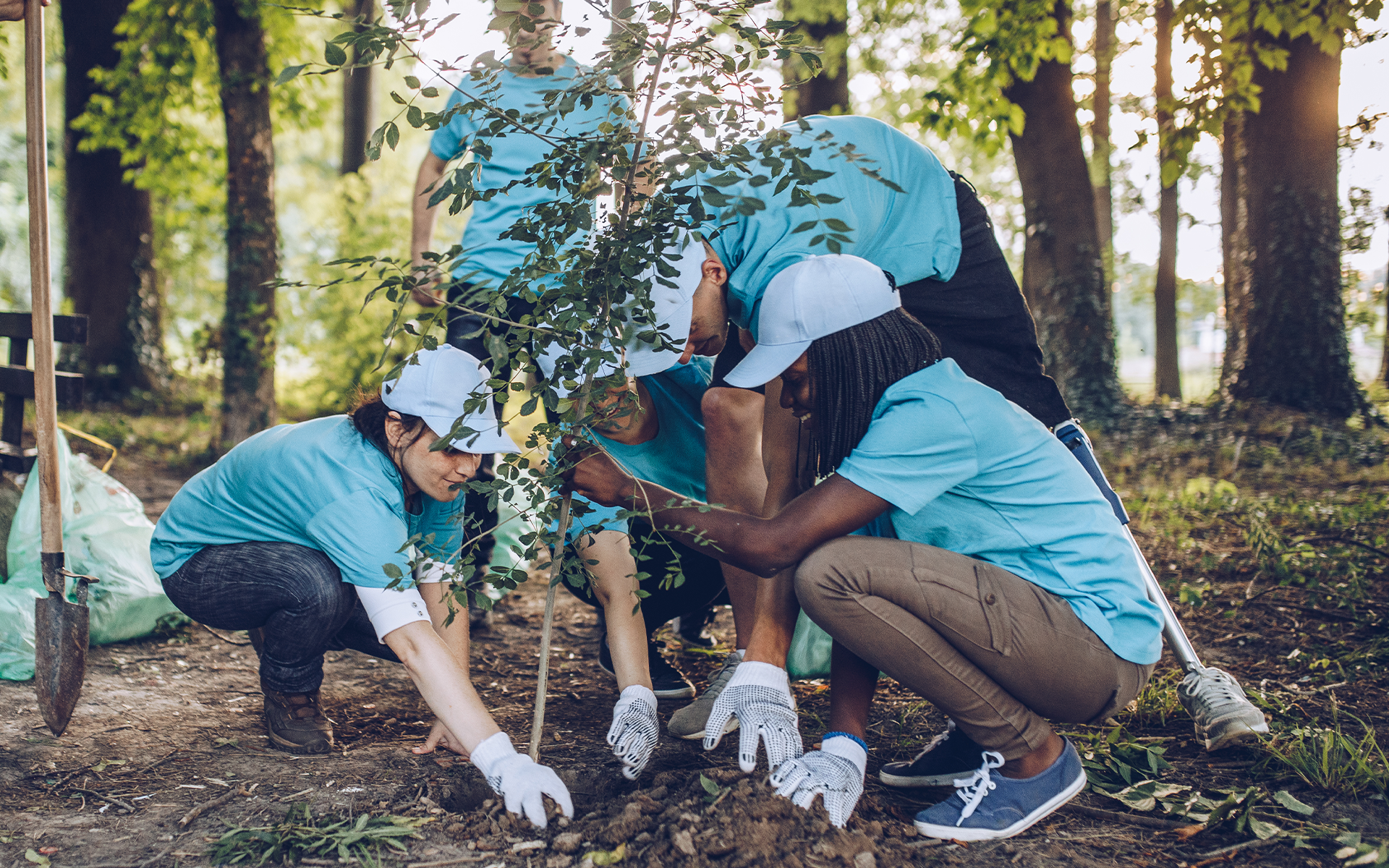 People Planting a Tree